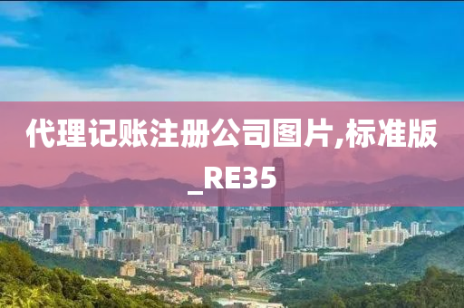 代理记账注册公司图片,标准版_RE35