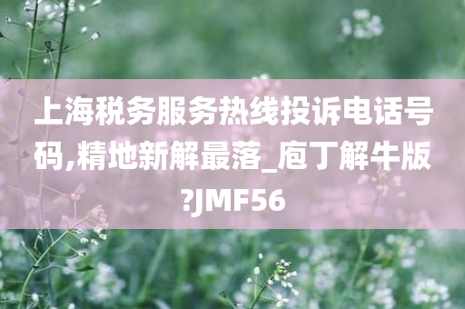 上海税务服务热线投诉电话号码,精地新解最落_庖丁解牛版?JMF56