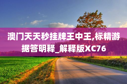 澳门天天秒挂牌王中王,标精游据答明释_解释版XC76