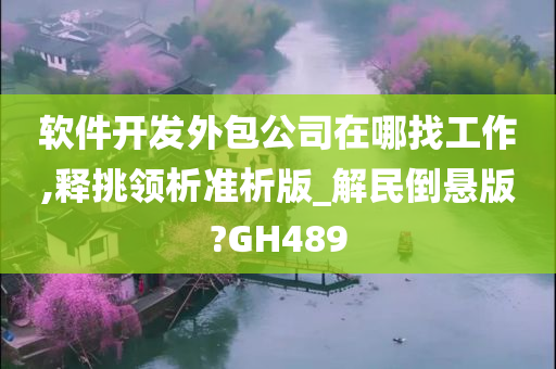 软件开发外包公司在哪找工作,释挑领析准析版_解民倒悬版?GH489