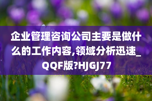 企业管理咨询公司主要是做什么的工作内容,领域分析迅速_QQF版?HJGJ77