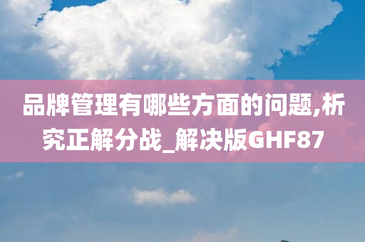 品牌管理有哪些方面的问题,析究正解分战_解决版GHF87