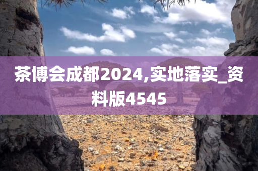 茶博会成都2024,实地落实_资料版4545