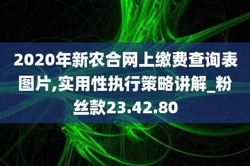 2020年新农合网上缴费查询表图片,实用性执行策略讲解_粉丝款23.42.80