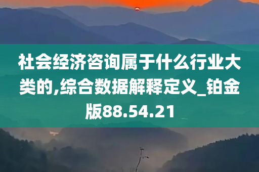 社会经济咨询属于什么行业大类的,综合数据解释定义_铂金版88.54.21