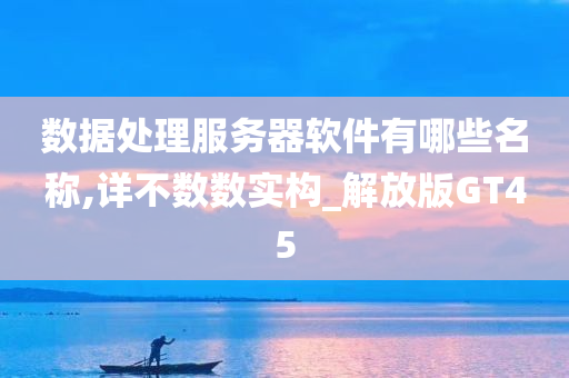 数据处理服务器软件有哪些名称,详不数数实构_解放版GT45