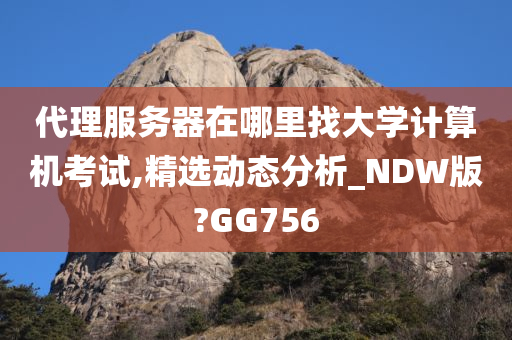 代理服务器在哪里找大学计算机考试,精选动态分析_NDW版?GG756