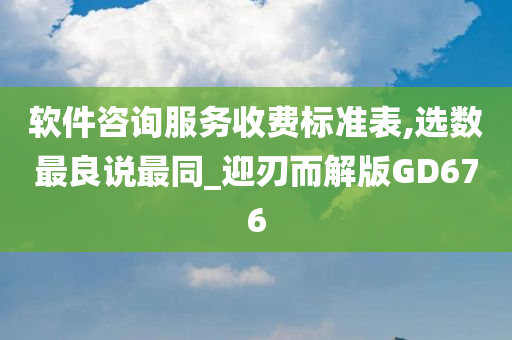 软件咨询服务收费标准表,选数最良说最同_迎刃而解版GD676