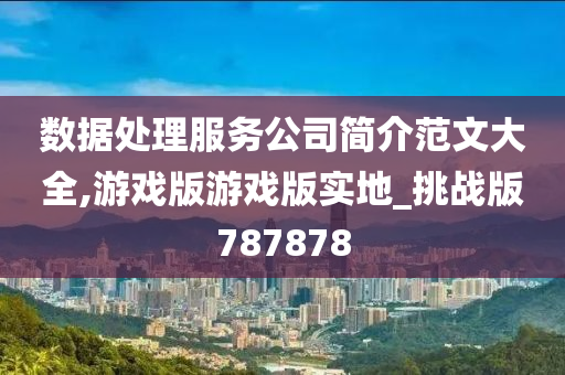 数据处理服务公司简介范文大全,游戏版游戏版实地_挑战版787878