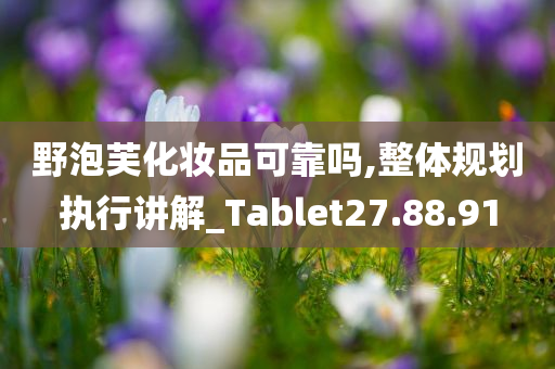 野泡芙化妆品可靠吗,整体规划执行讲解_Tablet27.88.91