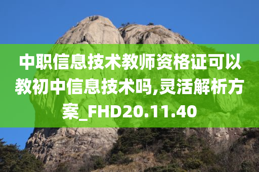 中职信息技术教师资格证可以教初中信息技术吗,灵活解析方案_FHD20.11.40