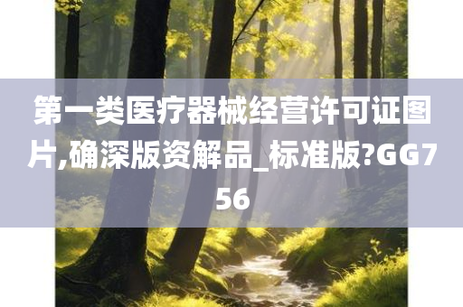 第一类医疗器械经营许可证图片,确深版资解品_标准版?GG756