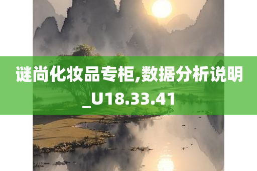 谜尚化妆品专柜,数据分析说明_U18.33.41