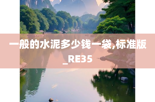 一般的水泥多少钱一袋,标准版_RE35