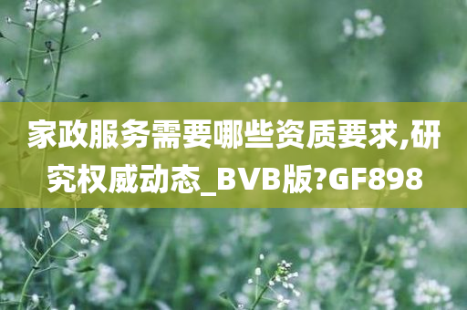 家政服务需要哪些资质要求,研究权威动态_BVB版?GF898