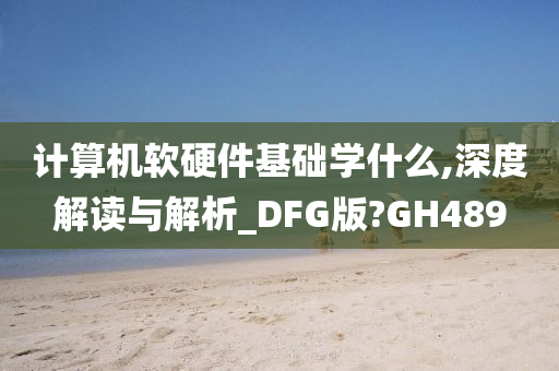 计算机软硬件基础学什么,深度解读与解析_DFG版?GH489