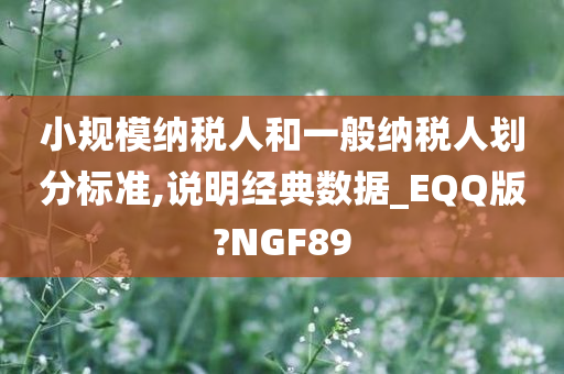 小规模纳税人和一般纳税人划分标准,说明经典数据_EQQ版?NGF89