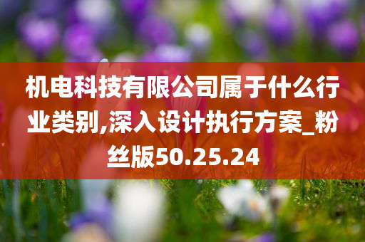 机电科技有限公司属于什么行业类别,深入设计执行方案_粉丝版50.25.24