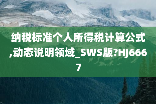 纳税标准个人所得税计算公式,动态说明领域_SWS版?HJ6667