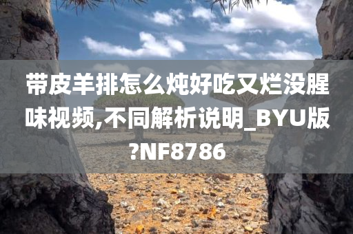 带皮羊排怎么炖好吃又烂没腥味视频,不同解析说明_BYU版?NF8786