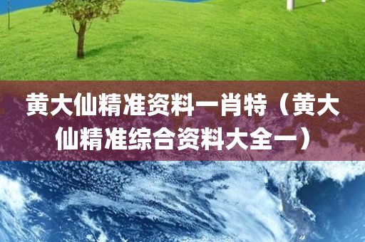 黄大仙精准资料一肖特（黄大仙精准综合资料大全一）