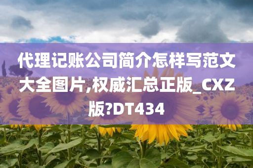 代理记账公司简介怎样写范文大全图片,权威汇总正版_CXZ版?DT434