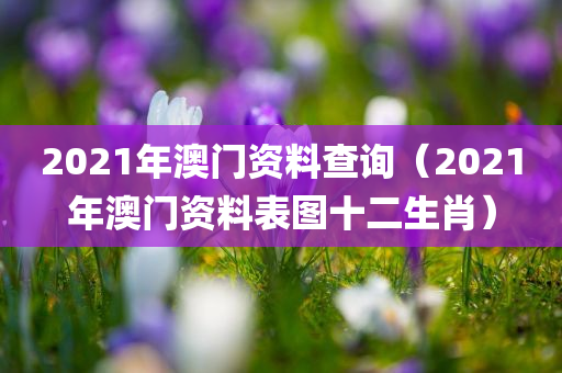 2021年澳门资料查询（2021年澳门资料表图十二生肖）