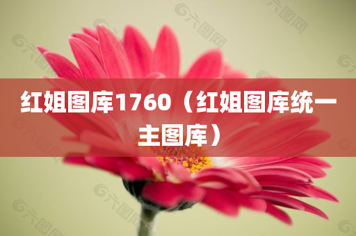 红姐图库1760（红姐图库统一主图库）