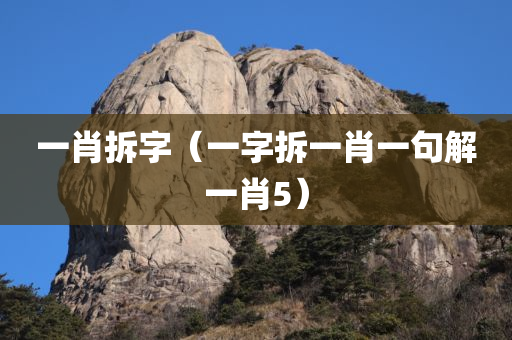 一肖拆字（一字拆一肖一句解一肖5）