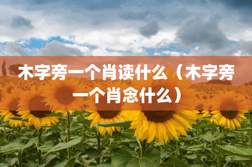 木字旁一个肖读什么（木字旁一个肖念什么）