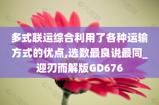 多式联运综合利用了各种运输方式的优点,选数最良说最同_迎刃而解版GD676