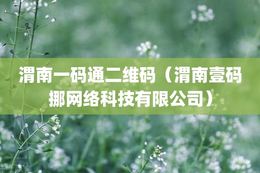 渭南一码通二维码（渭南壹码挪网络科技有限公司）