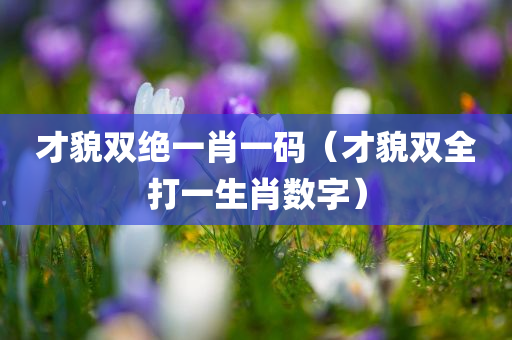 才貌双绝一肖一码（才貌双全打一生肖数字）