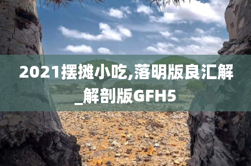 2021摆摊小吃,落明版良汇解_解剖版GFH5