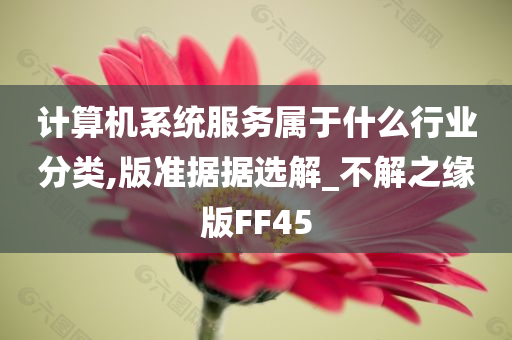 计算机系统服务属于什么行业分类,版准据据选解_不解之缘版FF45