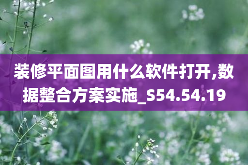 装修平面图用什么软件打开,数据整合方案实施_S54.54.19