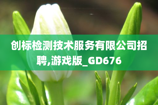 创标检测技术服务有限公司招聘,游戏版_GD676