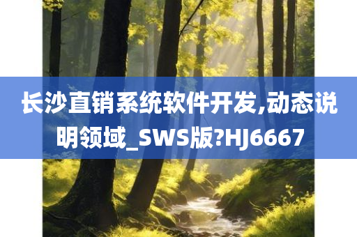 长沙直销系统软件开发,动态说明领域_SWS版?HJ6667