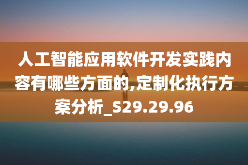 人工智能应用软件开发实践内容有哪些方面的,定制化执行方案分析_S29.29.96