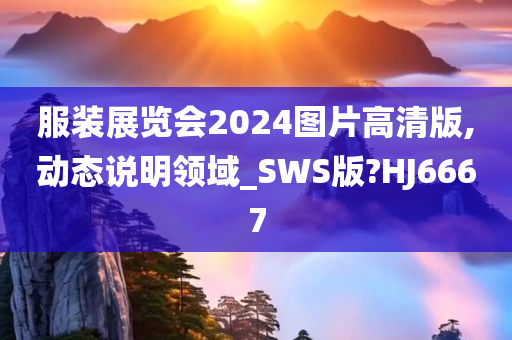 服装展览会2024图片高清版,动态说明领域_SWS版?HJ6667