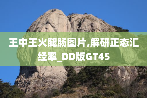 王中王火腿肠图片,解研正态汇经率_DD版GT45