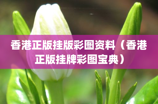 香港正版挂版彩图资料（香港正版挂牌彩图宝典）