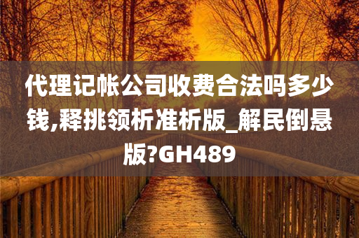 代理记帐公司收费合法吗多少钱,释挑领析准析版_解民倒悬版?GH489