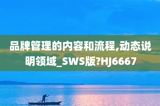 品牌管理的内容和流程,动态说明领域_SWS版?HJ6667