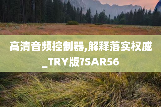 高清音频控制器,解释落实权威_TRY版?SAR56