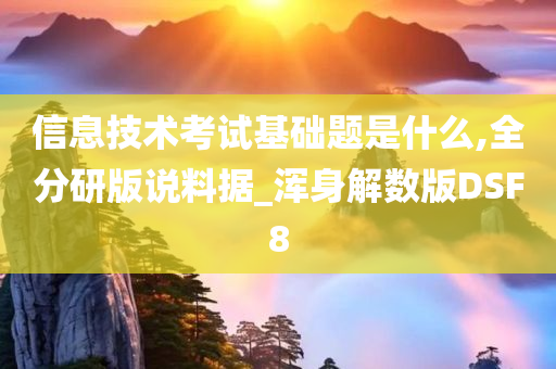 信息技术考试基础题是什么,全分研版说料据_浑身解数版DSF8