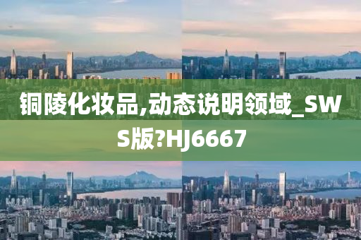 铜陵化妆品,动态说明领域_SWS版?HJ6667