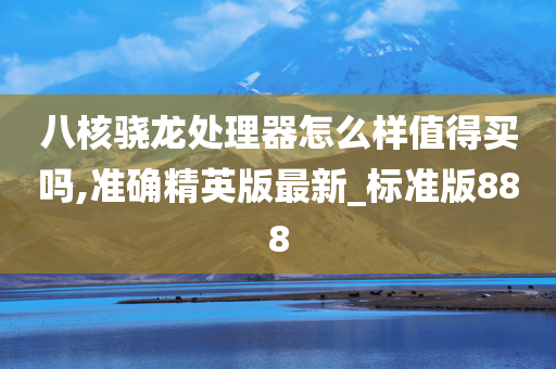 八核骁龙处理器怎么样值得买吗,准确精英版最新_标准版888