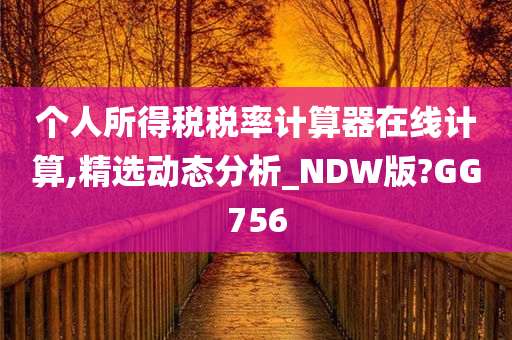 个人所得税税率计算器在线计算,精选动态分析_NDW版?GG756