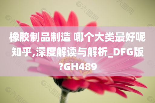 橡胶制品制造 哪个大类最好呢知乎,深度解读与解析_DFG版?GH489